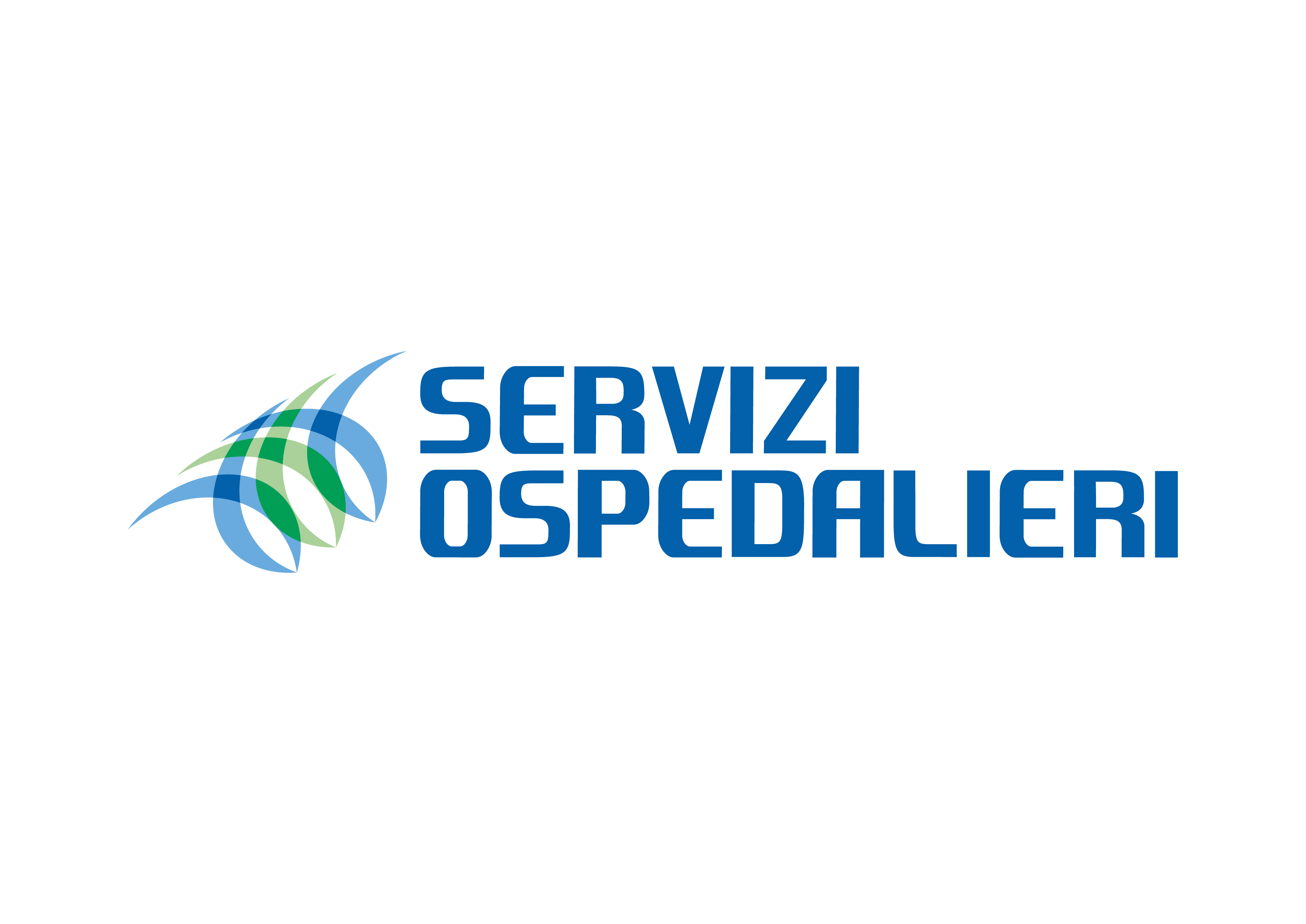 Servizi_Ospedalieri_COLOUR_rgb.png (102 KB)
